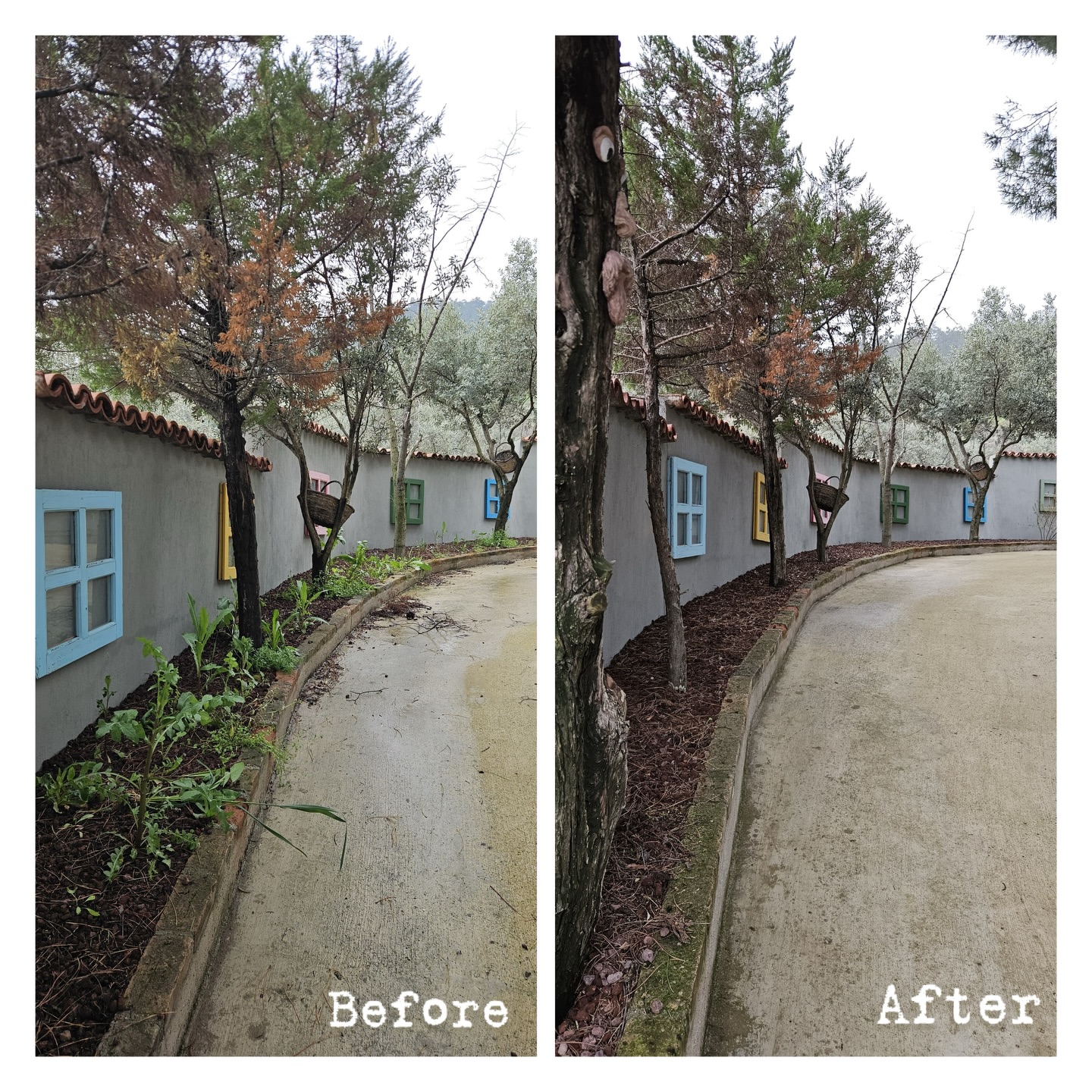 Hizmet görseli 3